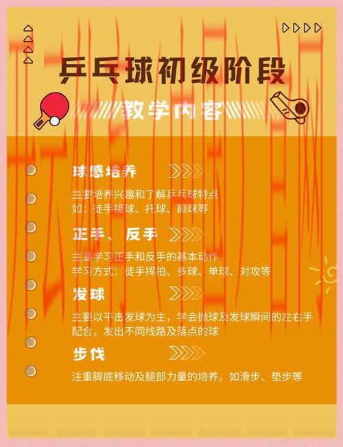 开云体育官方，从初学者到专业运动员的进阶之路